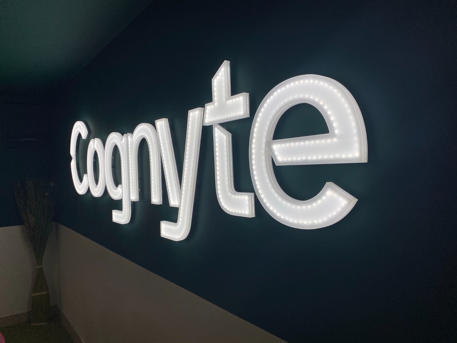 Cognyte - Детайл